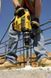 Бур DeWALT DT60829 dt60829 фото 14