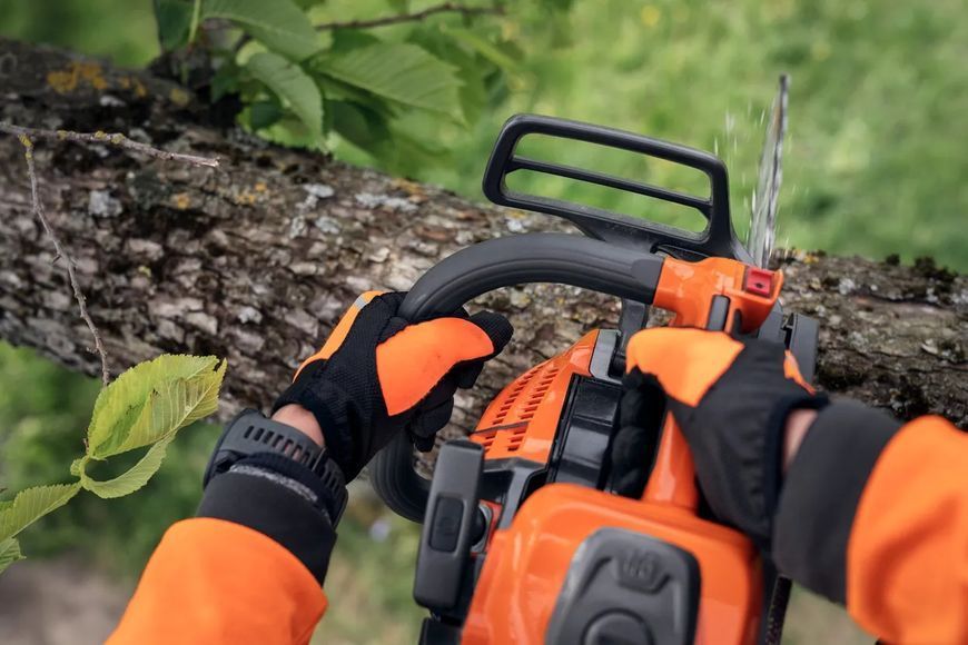 Бензопила Husqvarna T540XP III 970 79 32-14 фото