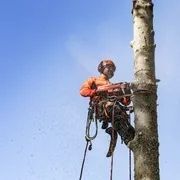 Бензопила Husqvarna 545 II 967 69 06-35 фото