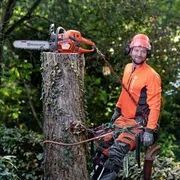 Бензопила Husqvarna 545 II 967 69 06-35 фото