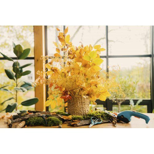 Кусторез-ножницы аккумуляторные Gardena ClassicCut 09885-20.000.00 фото