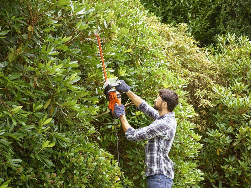 Бензиновий кущоріз Black&Decker BEHTS301 BEHTS301 фото