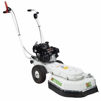 Бензиновая подметальная машина Etesia MBR50 MBR50 фото