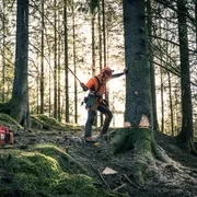 Бензопила Husqvarna 572XP