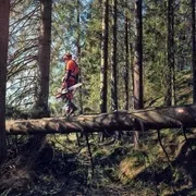 Бензопила Husqvarna 572XP