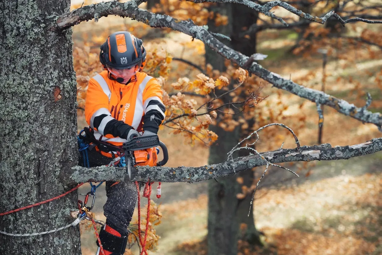 Бензопила Husqvarna T435