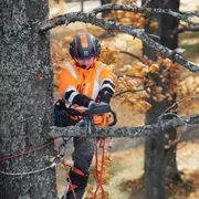 Бензопила Husqvarna T435