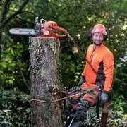 Бензопила Husqvarna 545 II