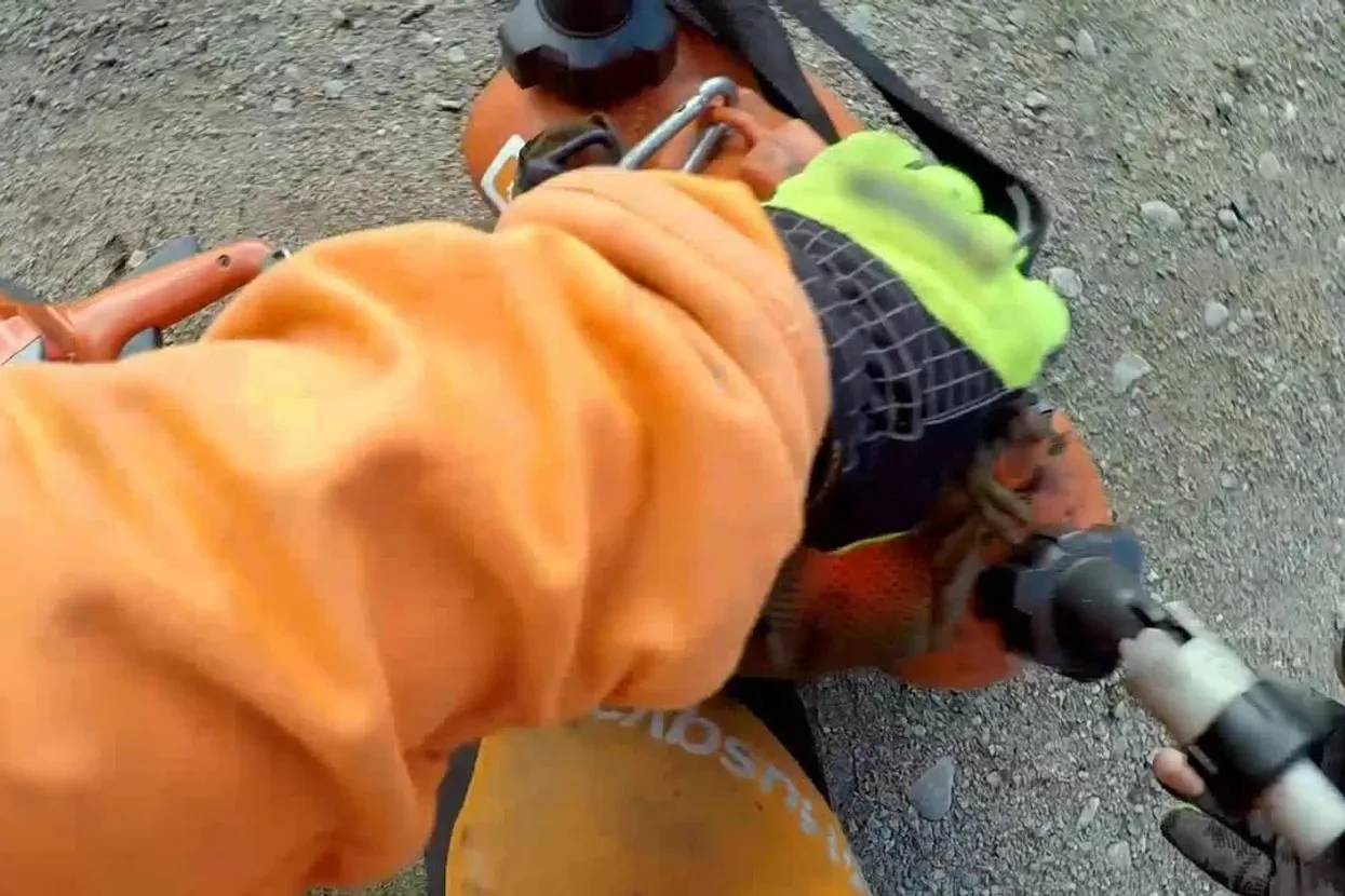 Бензопила Husqvarna 550XP II