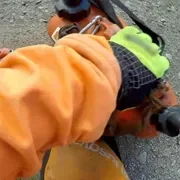 Бензопила Husqvarna 550XP II