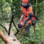 Бензопила Husqvarna 550XP II