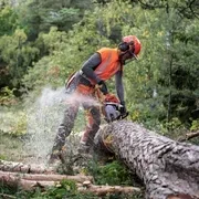 Бензопила Husqvarna 550XP II