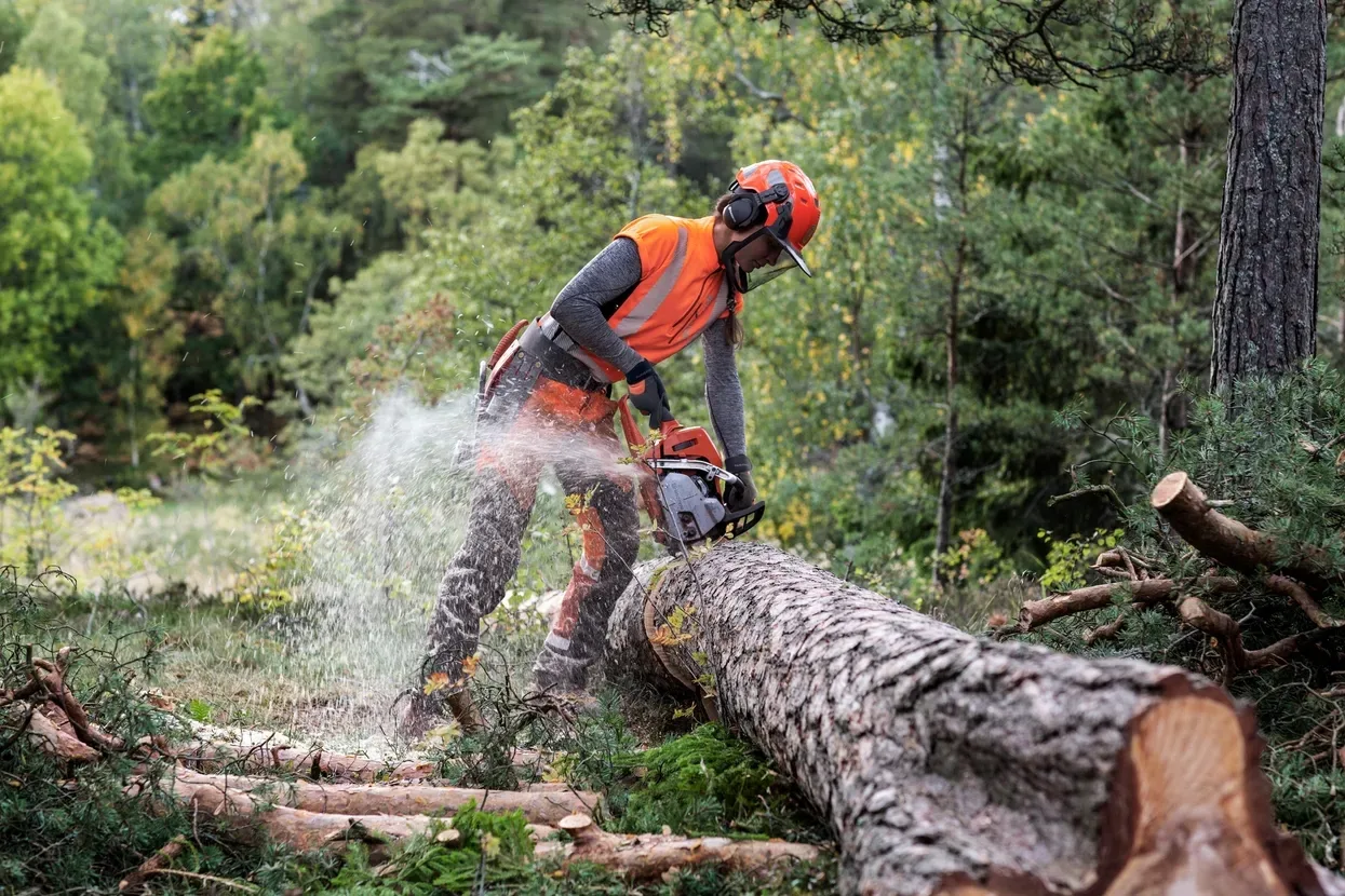 Бензопила Husqvarna 550XP II