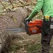 Бензопила Husqvarna 585