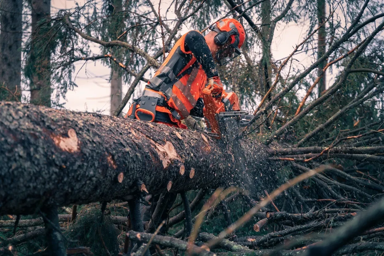 Бензопила Husqvarna 592ХР