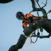 Пила Husqvarna T540iXP