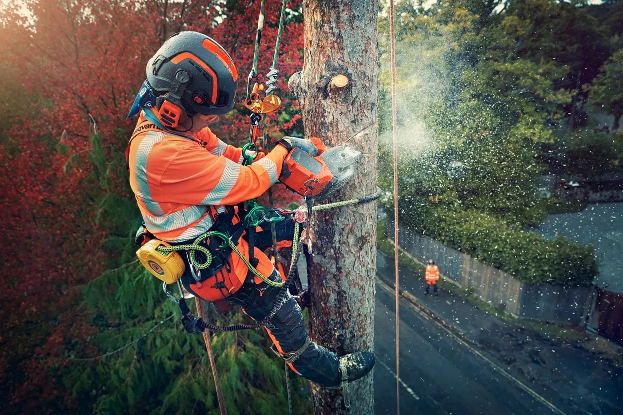 Пила Husqvarna T540iXP