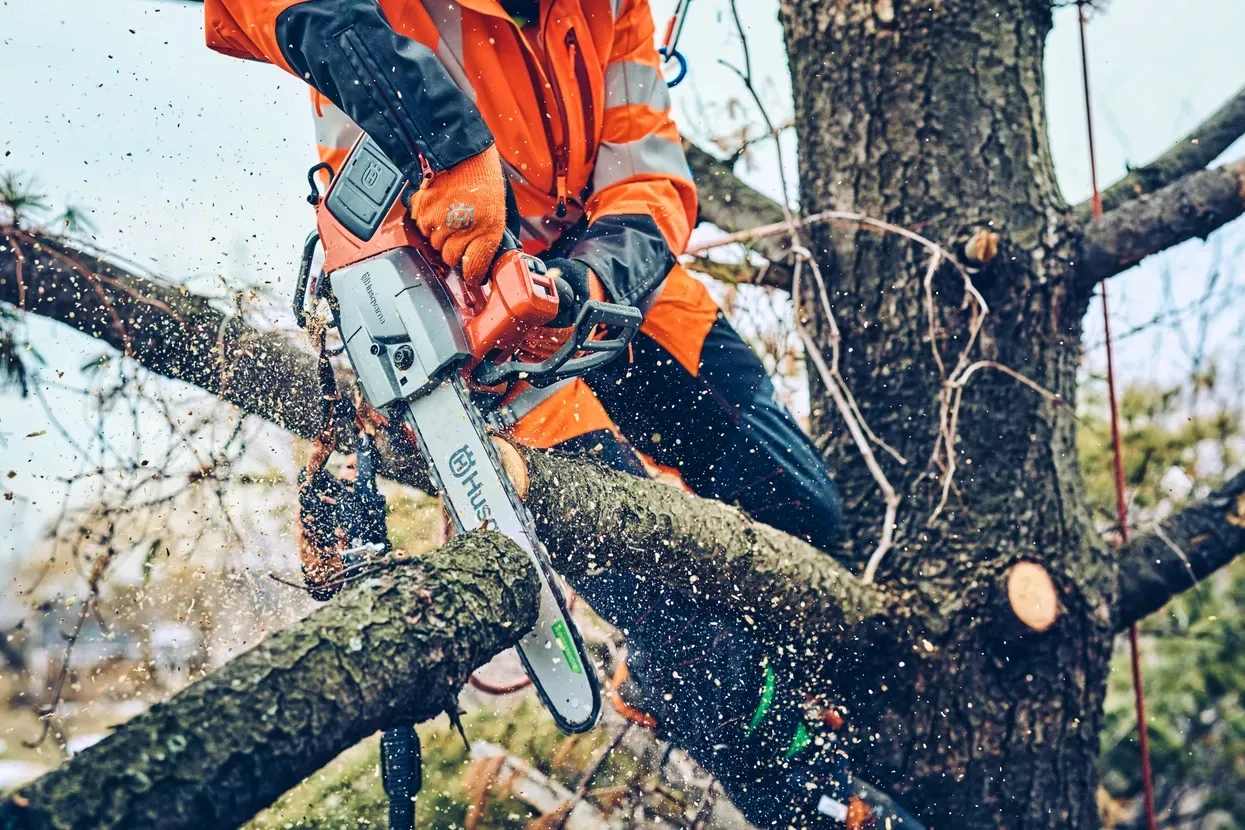 Пила Husqvarna T542iXP