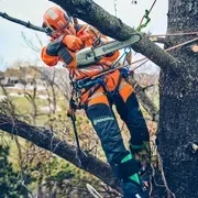 Пила Husqvarna T542iXP
