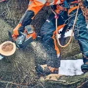 Пила Husqvarna T542iXP