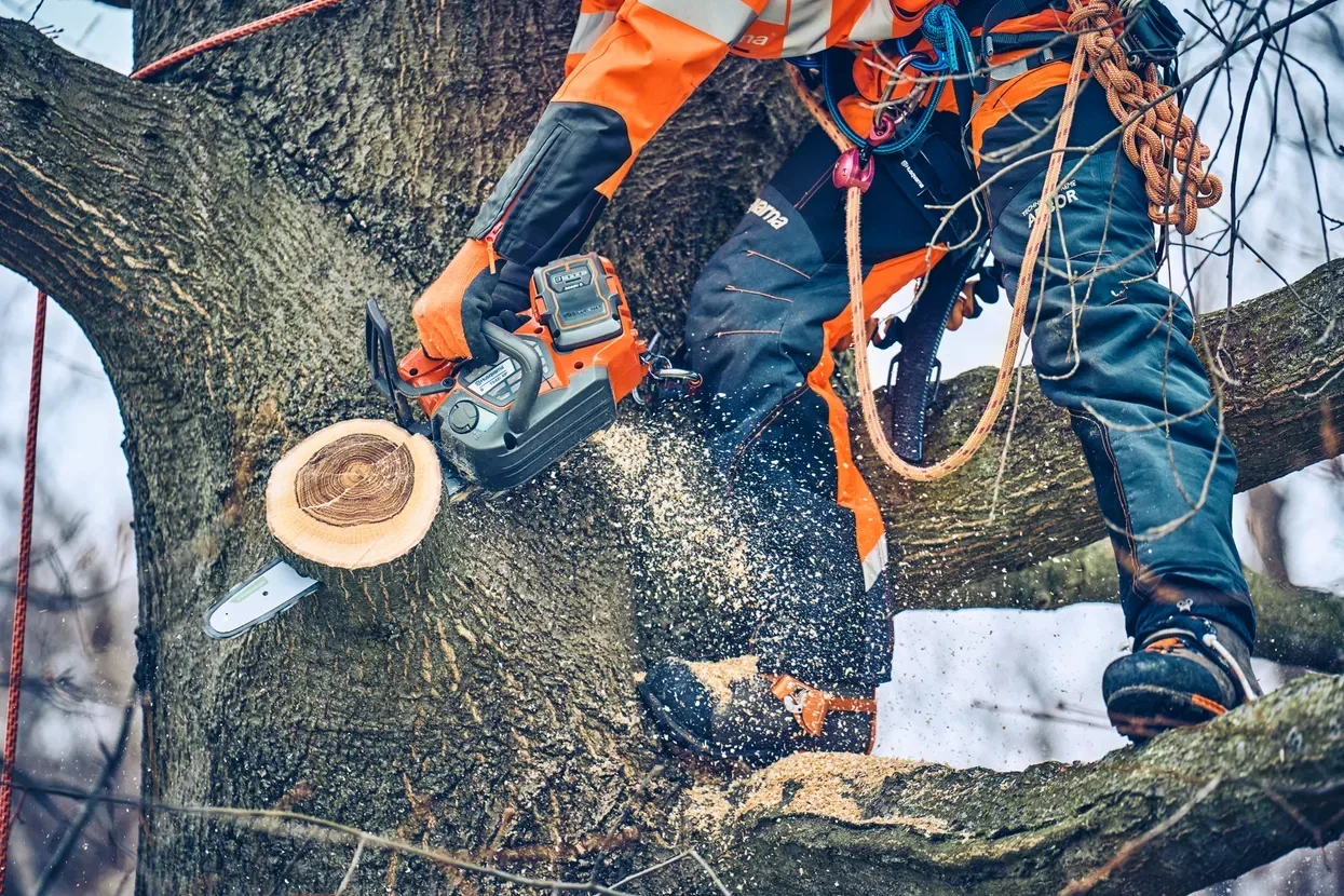 Пила Husqvarna T542iXP