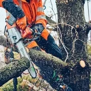 Пила Husqvarna T542iXP
