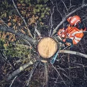 Бензопила Husqvarna 562XP II