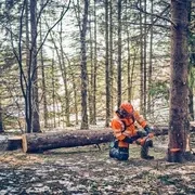 Бензопила Husqvarna 562XP II
