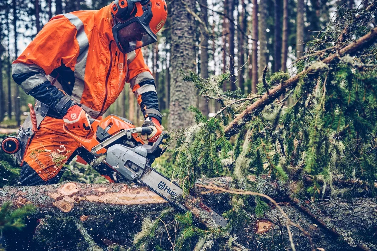 Бензопила Husqvarna 562XP II
