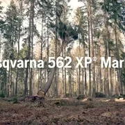 Бензопила Husqvarna 562XP II