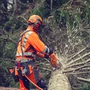 Бензопила Husqvarna 564XP