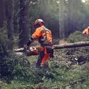 Бензопила Husqvarna 564XP