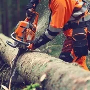 Бензопила Husqvarna 564XP