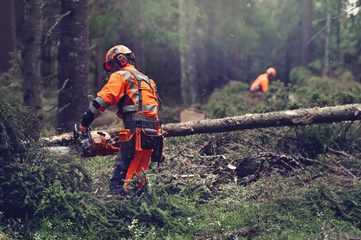 Бензопила Husqvarna 564XP
