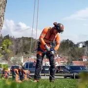 Пила Husqvarna T535iXP
