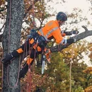 Пила Husqvarna T535iXP