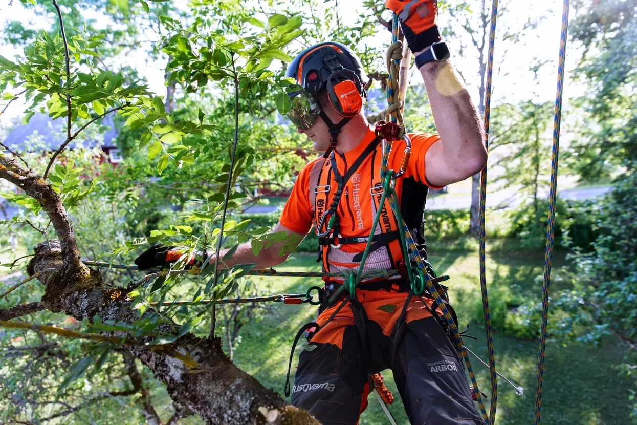 Пила Husqvarna T535iXP