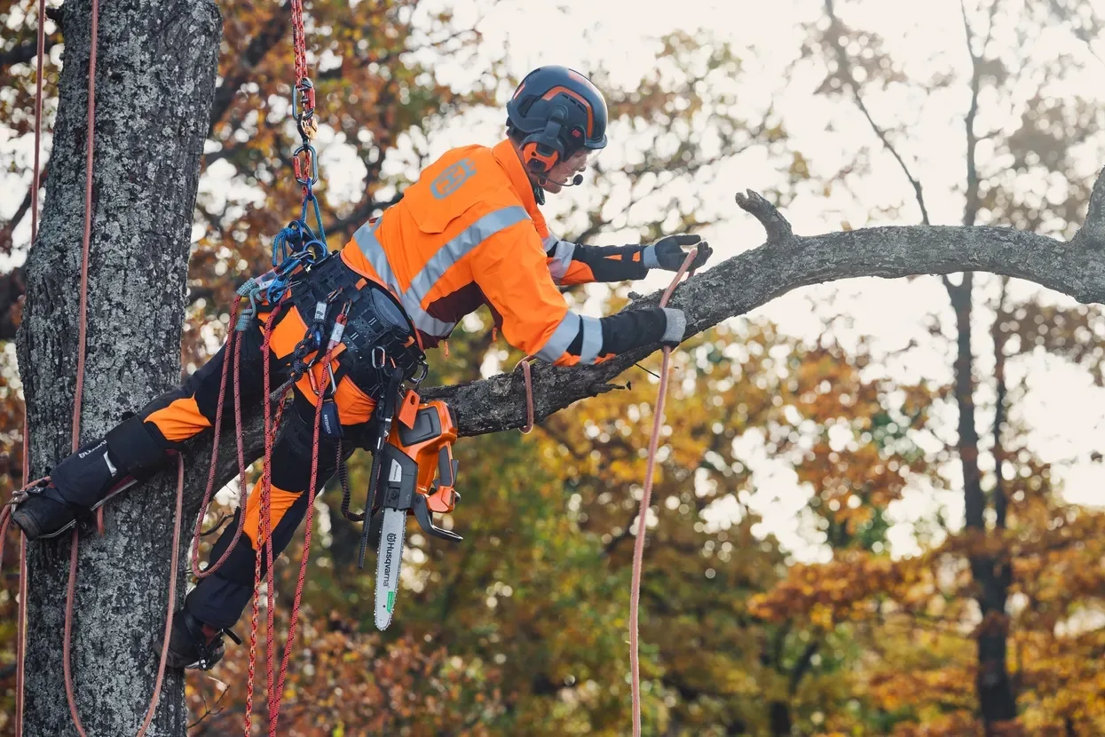 Пила Husqvarna T535iXP