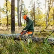 Пила Husqvarna 435i