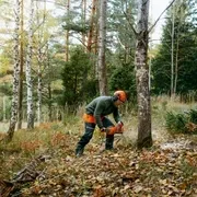 Пила Husqvarna 435i