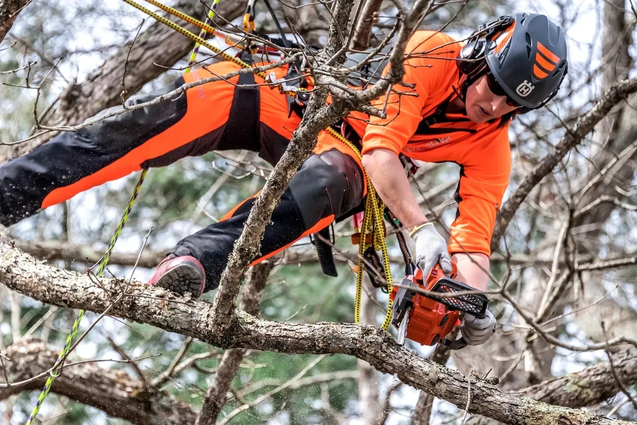 Бензопила Husqvarna T525