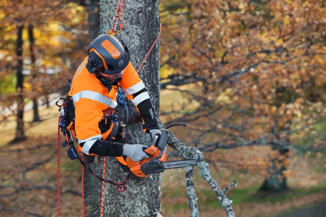 Бензопила Husqvarna T525