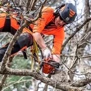 Бензопила Husqvarna T525