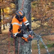 Бензопила Husqvarna T525