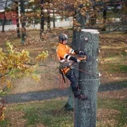 Пила Husqvarna 550iXP