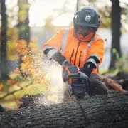 Пила Husqvarna 550iXP