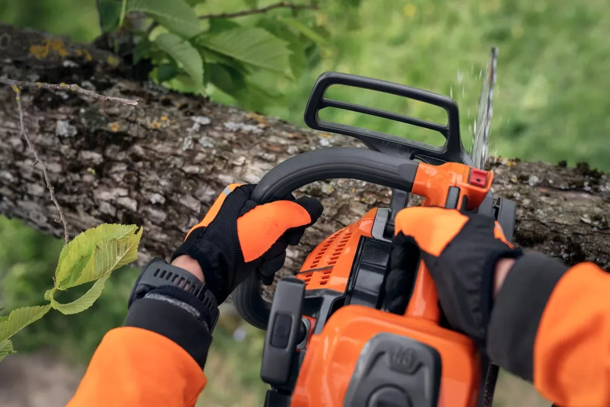 Бензопила Husqvarna T540XP III