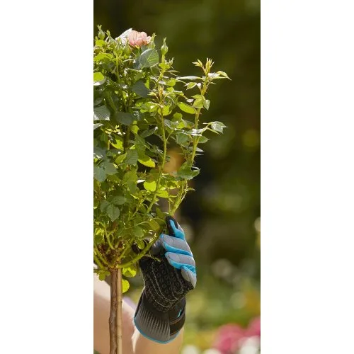 Рукавички для робіт з трояндами Gardena Oeko-Tex® 8/M