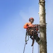 Струбцина для фиксации пилы