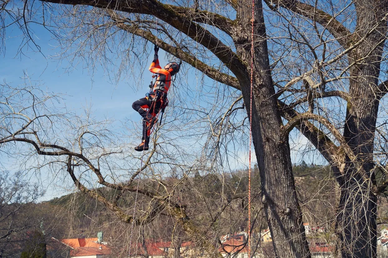Мотузка альпіністська Climbing